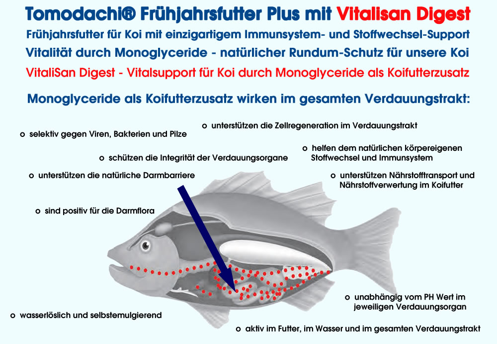 Koifutter, Frühjahrsfutter,  Immunschutzfutter Koi mit Monoglyceriden, Frühjahrsfutter Plus 5mm 10kg