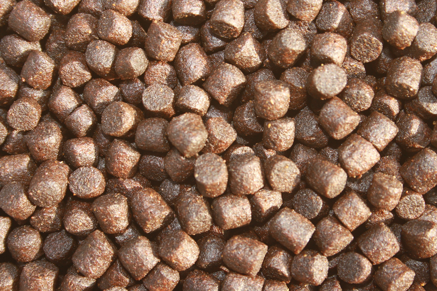 Winterfutter Koi, Immunschutz mit Monoglyceriden, Vitalfutter, Koigesundheit 5mm 3kg