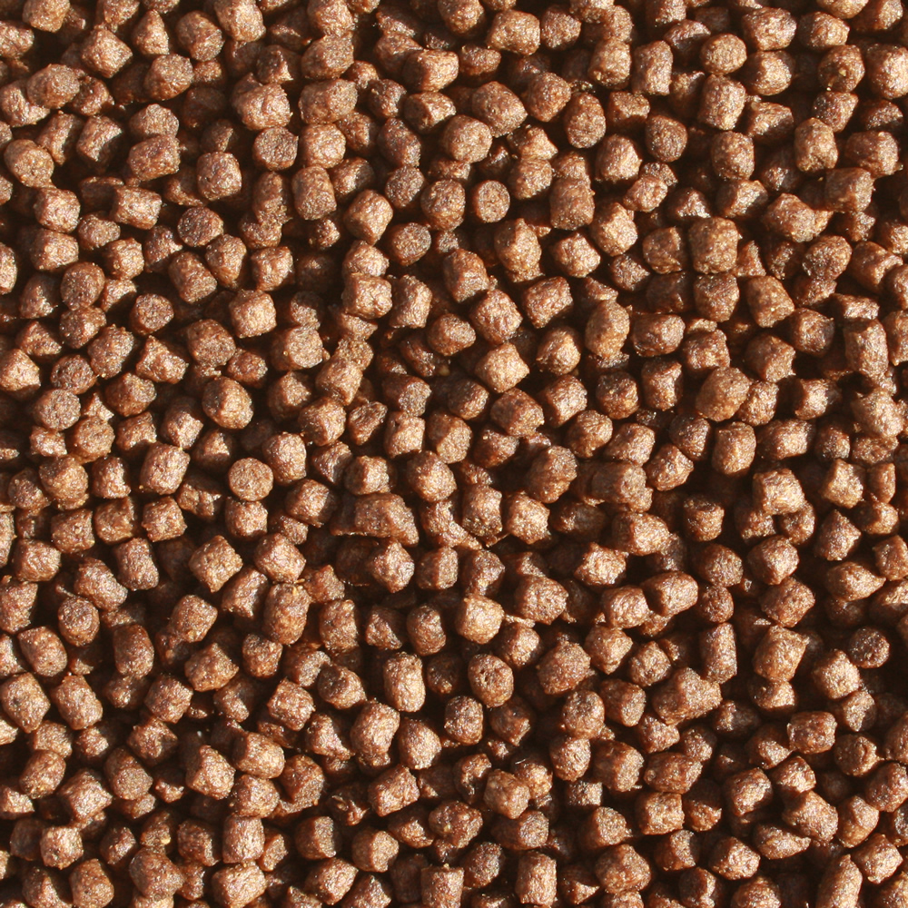 Zierfischfutter, Aquarienfischfutter mit Astax, Tomodachi  Premium Fischfutter,  4 -5 mm 1kg