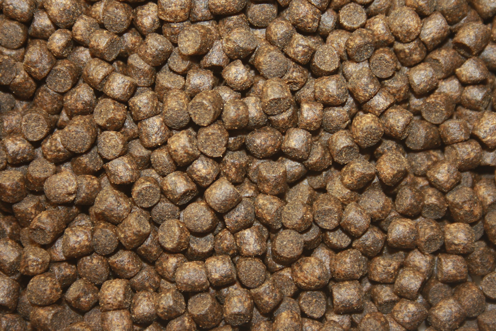 Winterfutter Koi, Sinkfutter energiereich, Winterfood Classic, langsamsinkend 5mm 5kg