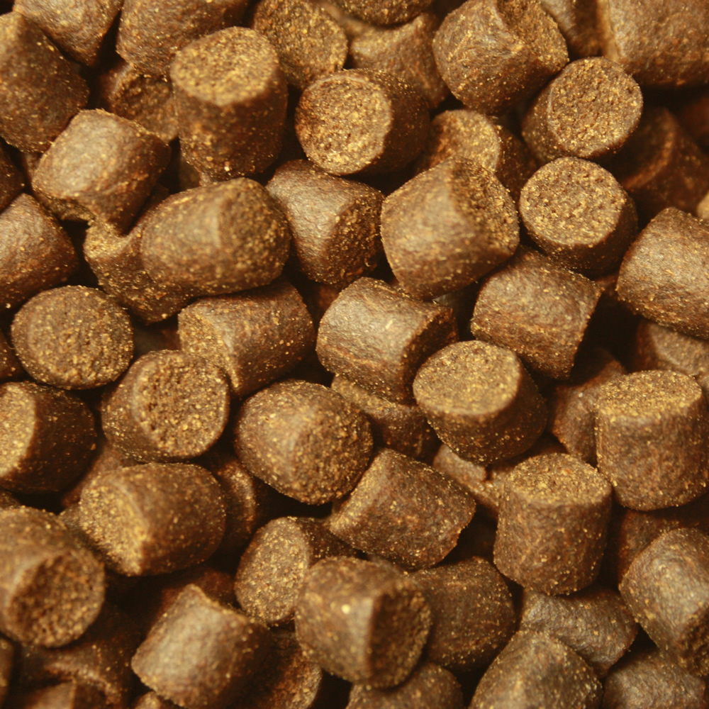 Störfutter hoch energiereich, Premium Störsinkfutter große Störe, Störfutter Top Qualität 10mm 15kg