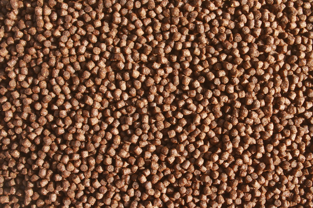 Herbstfutter für Koi, schwimmendes Energiefutter  Spirulina Farbverbesserung, Immunschutz 3mm 15kg