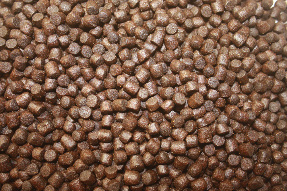 Sommerfutter für Koi mit Monoglyceriden, Sommerfutter Plus VITAL Immunschutz, Koigesundheit 5mm 5kg