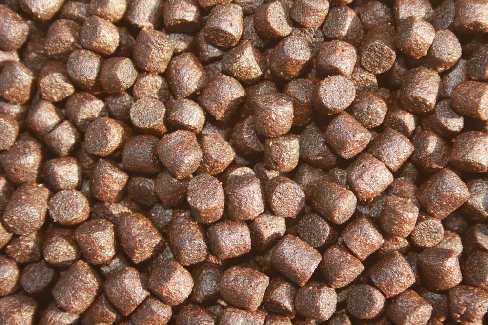 Premium Koifutter, Kraftfutter Koi, Power +Condition, Wachstumsfutter Koi, Körperform, Farbe 6mm 5kg