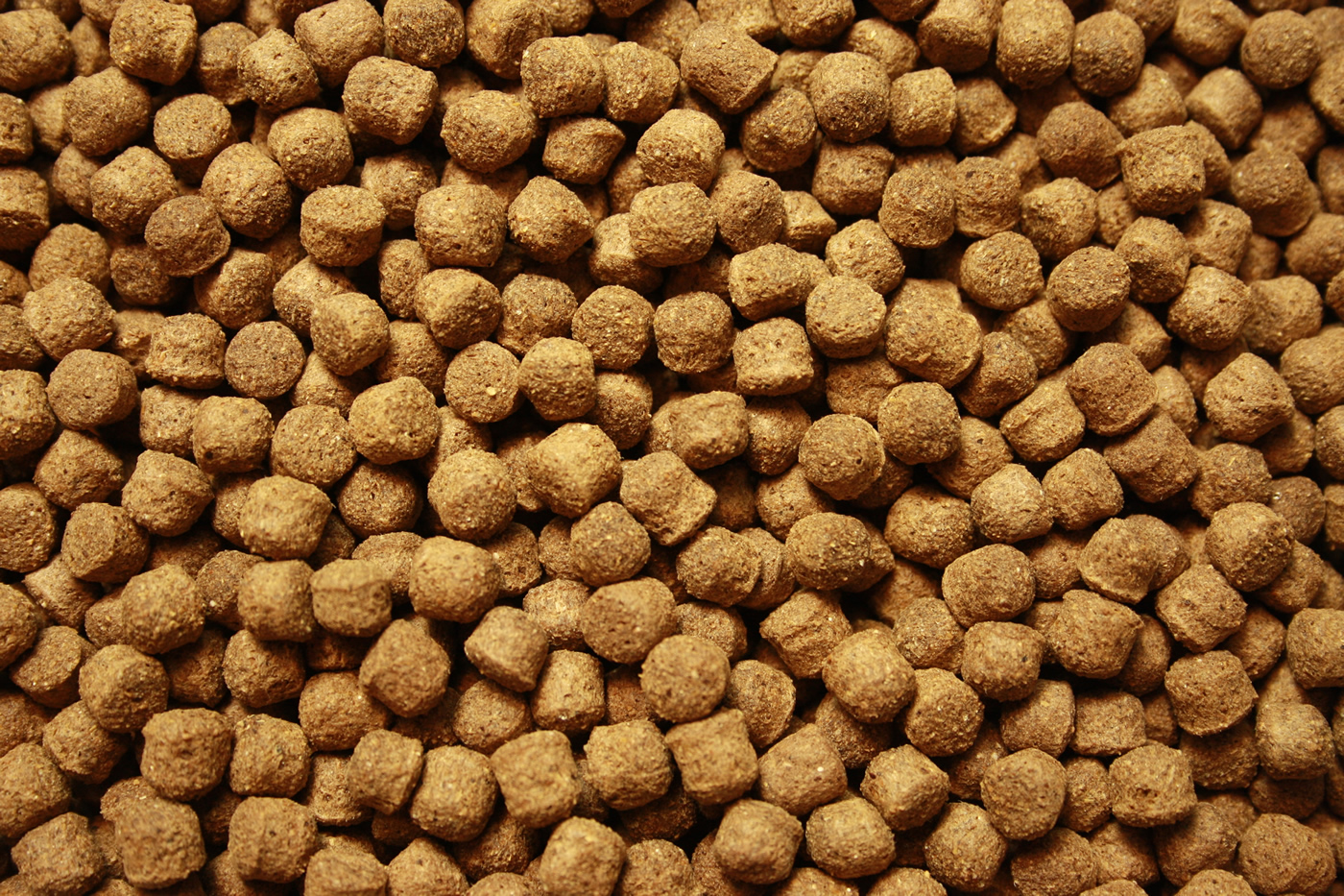 Koischwimmfutter, Tomodachi All Season Ganzjahreskoifutter 6mm 15kg