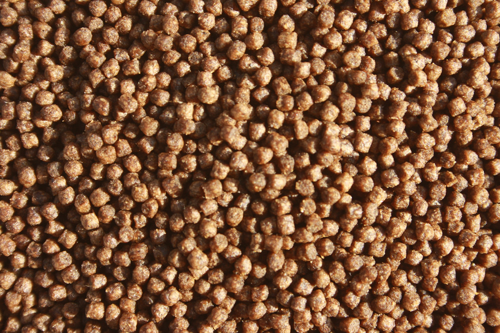 Tomodachi MegaGrower Koifutter, Wachstumsfutter, Aufzuchtfutter Jungkoi, 2mm 10kg