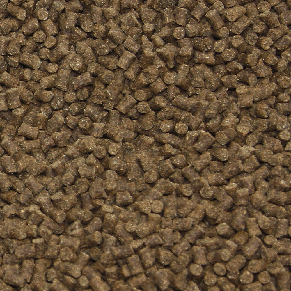 Koifutter antibaktierell, Winterfutter sinkend VitaliSan Monoglyceride, Deep Winter Vital  3mm  3kg