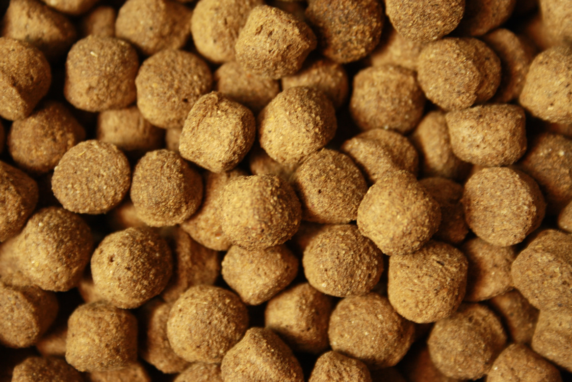 Antibakterielles Koifutter mit Monoglyceriden All Season Vital, Immunschutz, Koigesundheit  8mm 10kg