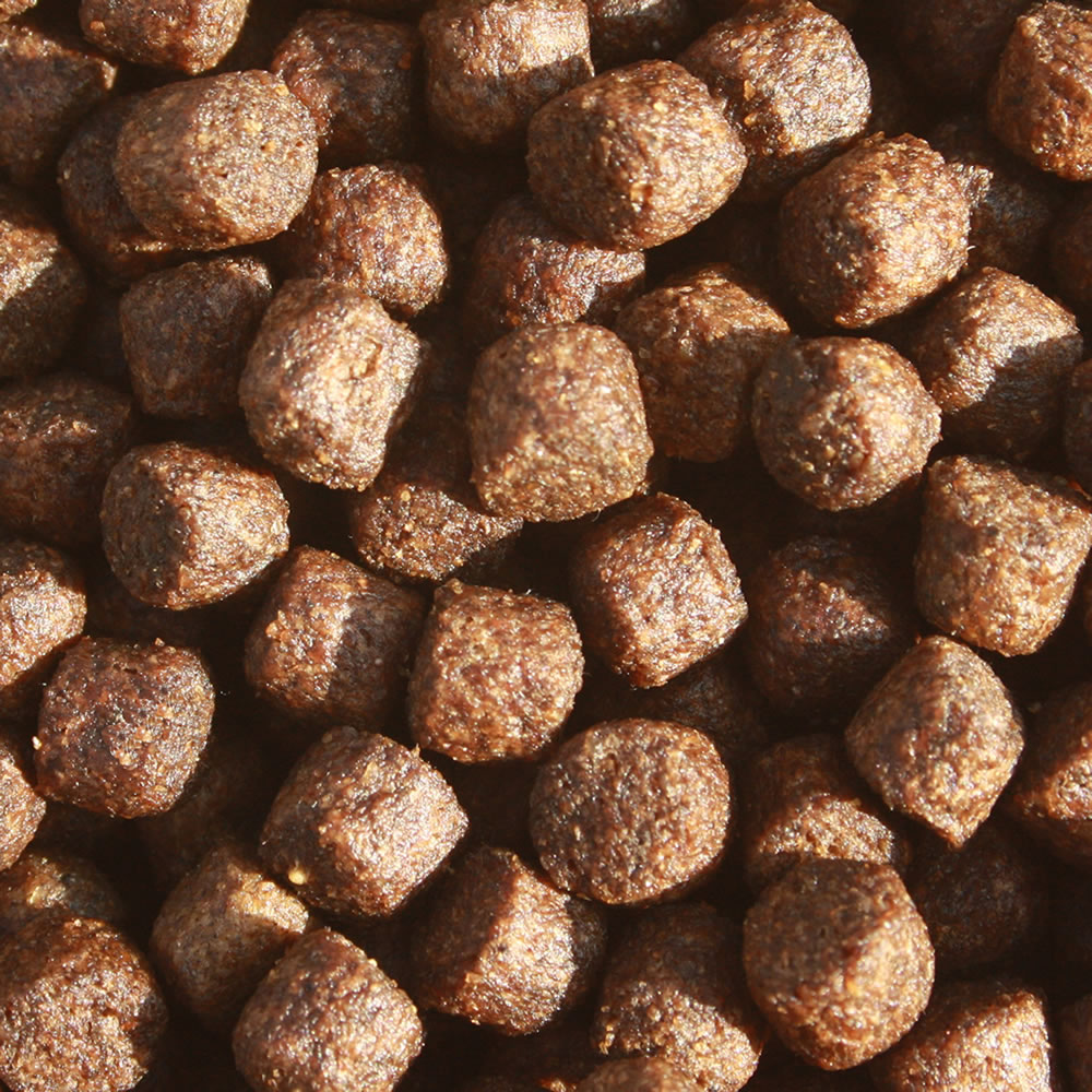 All Season Professional VITAL, Gesundheits Koifutter mit Monoglyceriden,  Immunschutzfutter 8mm 10kg