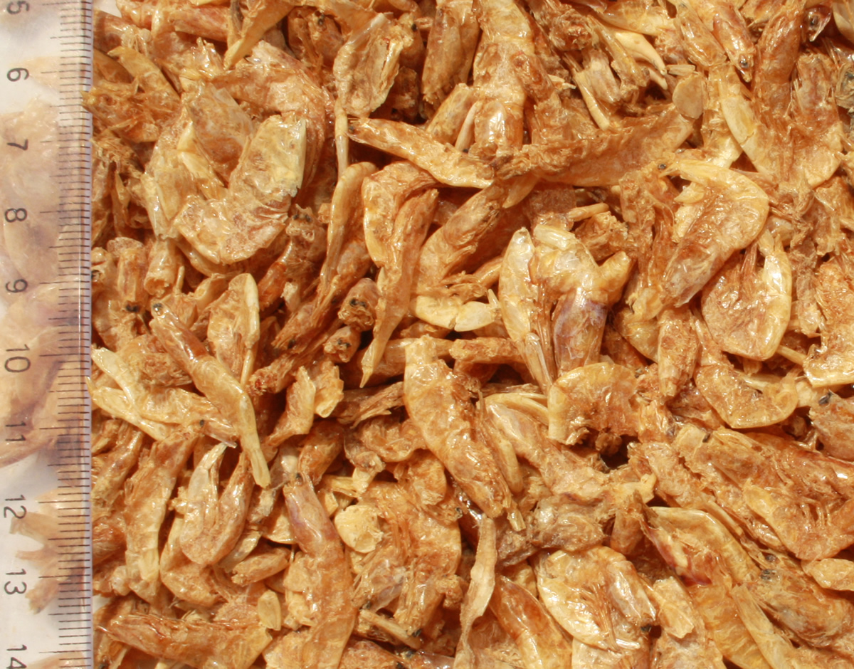 Sommerfutter Koi, Riesengarnelen, Koigambas, gesunder, leckerer Koisnack für den Sommer, 3L Eimer