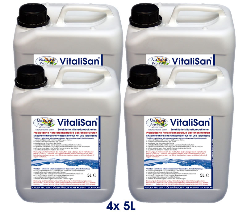 Koifutter Zusatz Milchsäurebakterien antibakteriell Futterverwertung Darmregulierung Hautklärer 20L