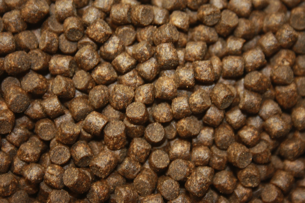 Herbstfutter für Koi, langsam sinkendes Energiefutter für den Herbst 5mm 5kg