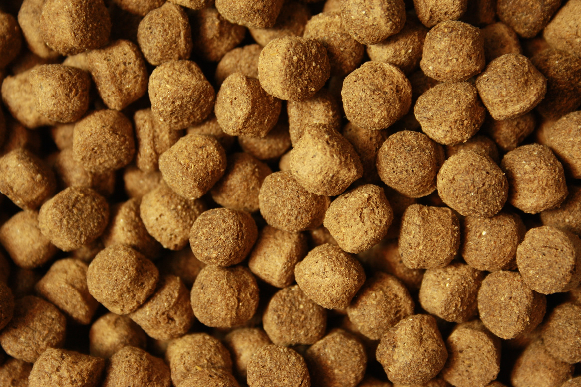 Antibakterielles Koifutter mit Monoglyceriden All Season Vital, Immunschutz, Koigesundheit  8mm 10kg