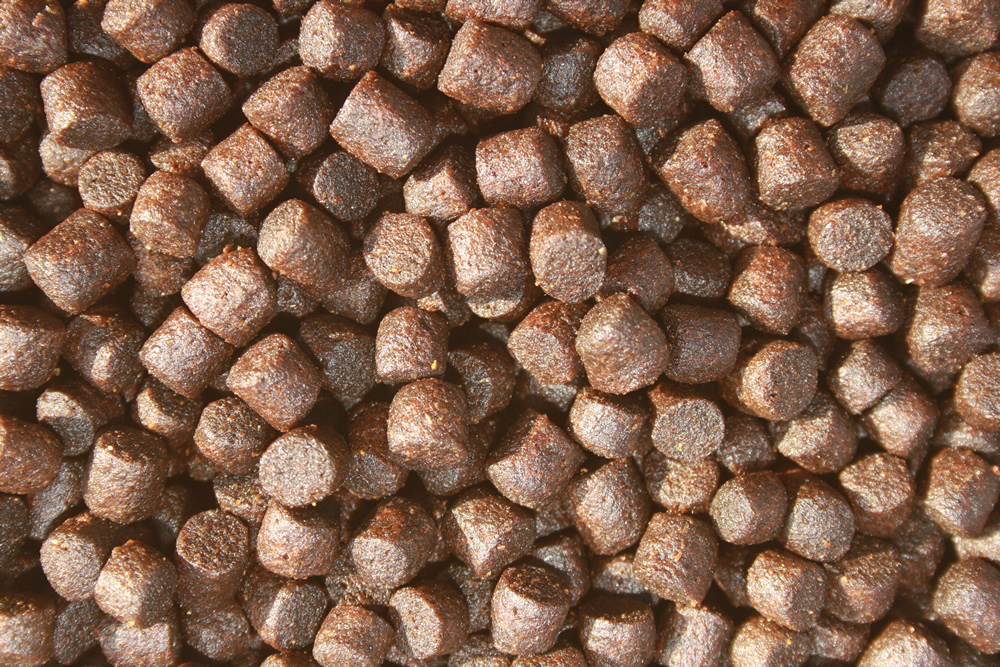 Koifutter,  Sommerfutter, Premium Schwimmfutter, Spirulina + Astax Farbschutzfutter 6mm, 10kg