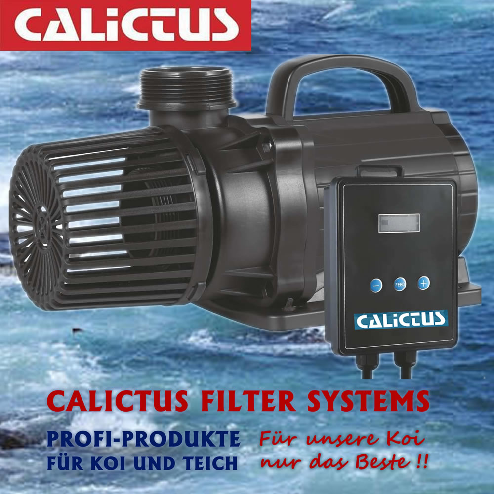 Teichpumpe, Filterpumpe, Bachlaufpumpe regelbar, energiesparend Calictus ECO 20000 Vario