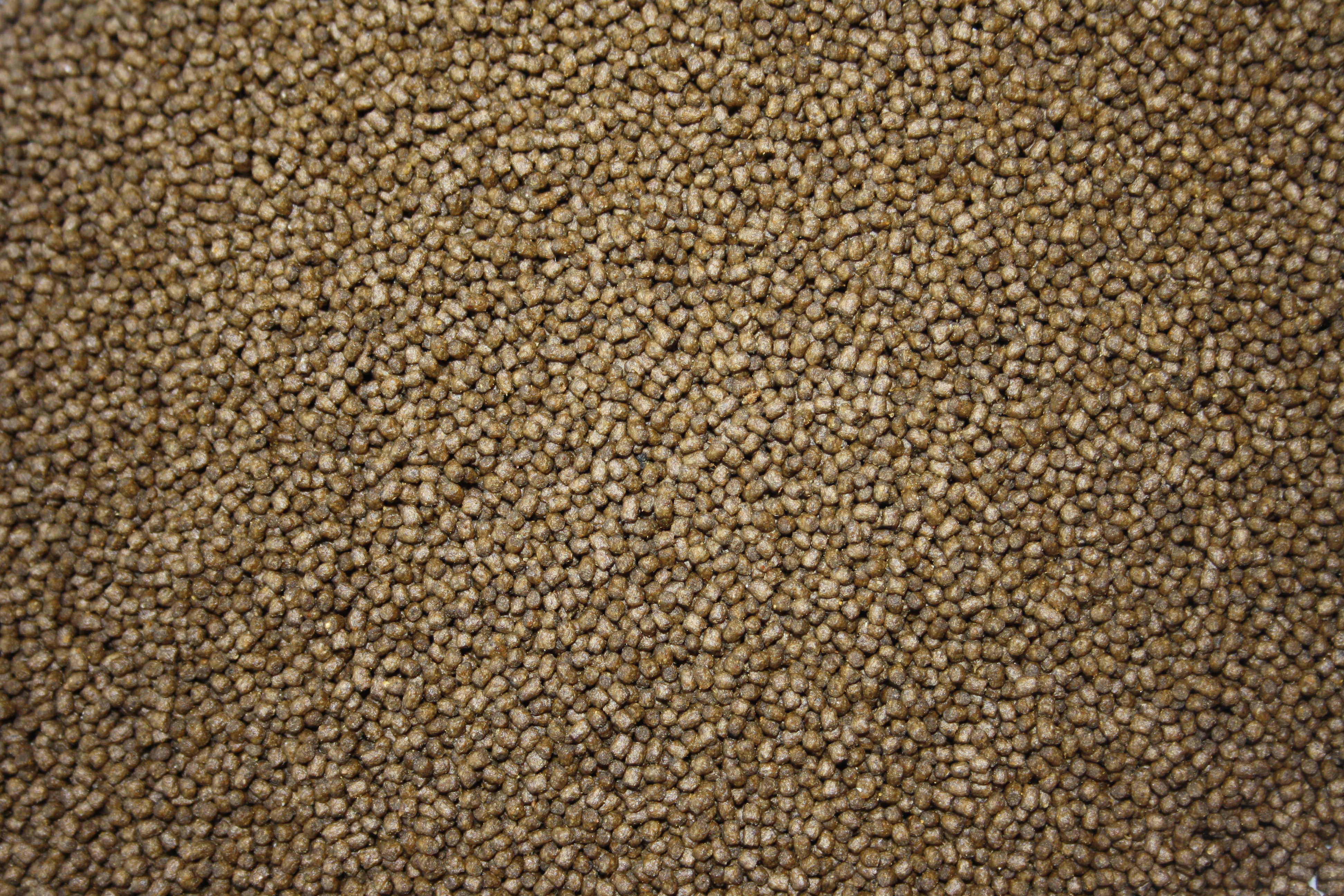 Wachstumsfutter Koi, Aufzuchtfutter Tosai, Kraftfutter Koi, Tomodachi High Growth 3mm 15kg