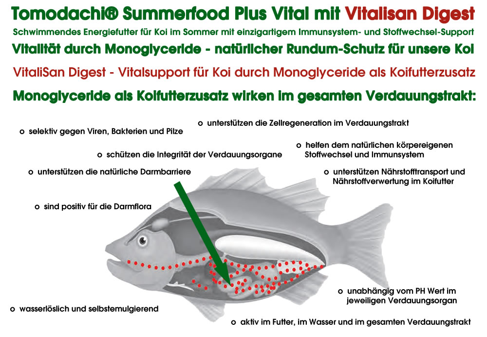 Koifutter, Sommerfutter, Koigesundheit  mit Monoglyceriden, Sommerfutter Plus VITAL  5mm 10kg