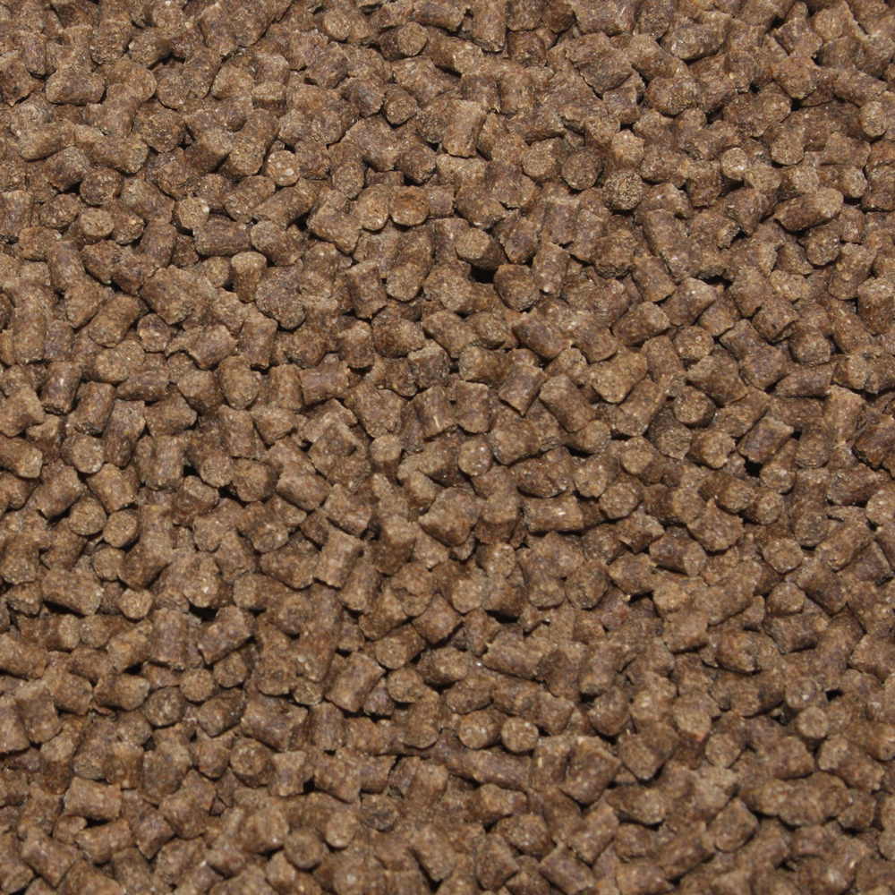 Koifutter antibaktierell, Winterfutter sinkend VitaliSan Monoglyceride, Deep Winter Vital  3mm  3kg