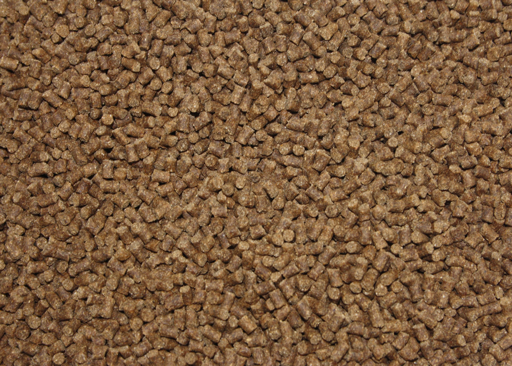 Gesundheitsfutter, Winterfutter Koi, Sinkfutter Monoglyceride, Tomodachi Deep Winter Vital 3mm 5kg