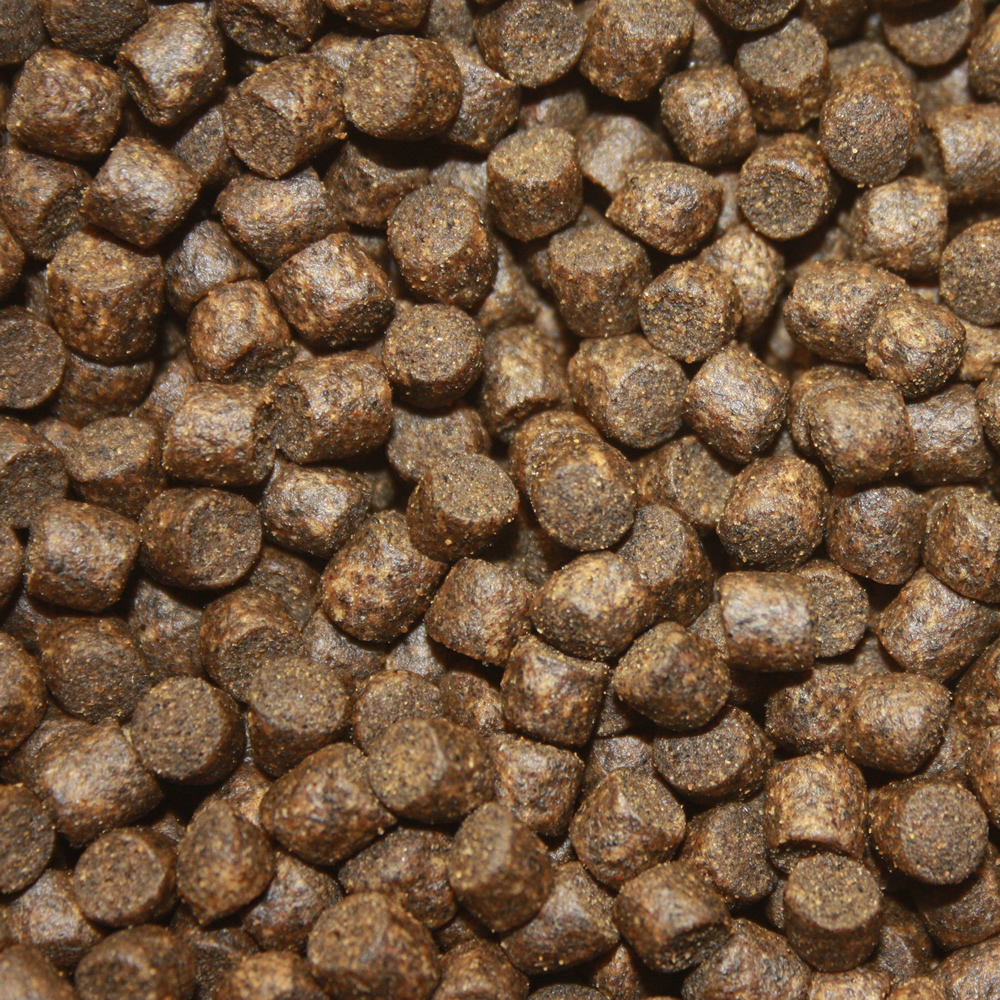 Betaglucan Koifutter für den Winter, Koigesundheit, Immunschutzfutter Koi,  Winterbalance 5mm 5kg