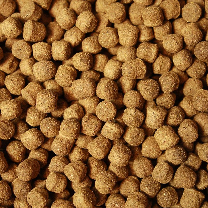 Jumbo Koifutter All Season Ganzjahres Koifutter Schwimmfutter für große Koi 8mm 5kg Eimer