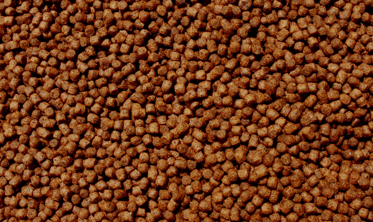 Energiefutter für Koi im Sommer, Wachstumsfutter, Farbfutter Spirulina, Astax 2kg 3mm