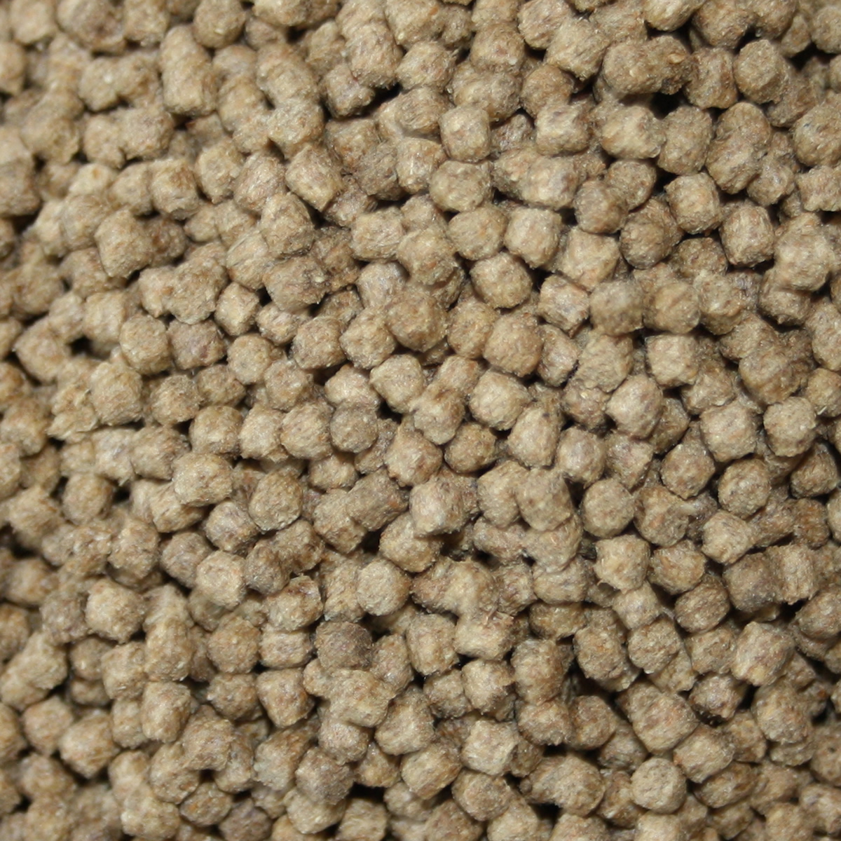 Koifutter mit Monoglyceriden, Immunschutz und Vitalität - All Season Ganzjahres Vitalfutter 3mm 2kg