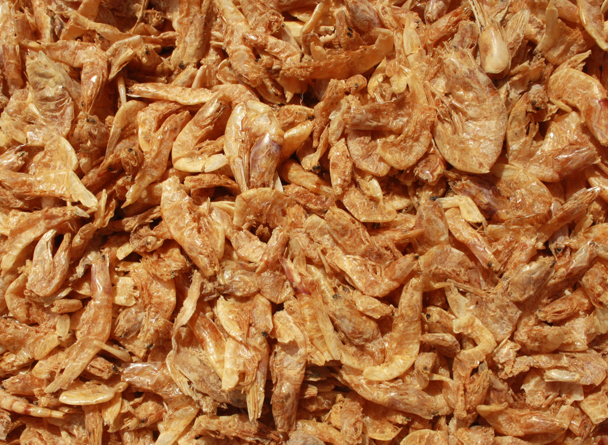 Süßwassergarnelen, Shrimps, Koisnack für den Sommer - gesund, beliebt und sehr lecker  5L Eimer