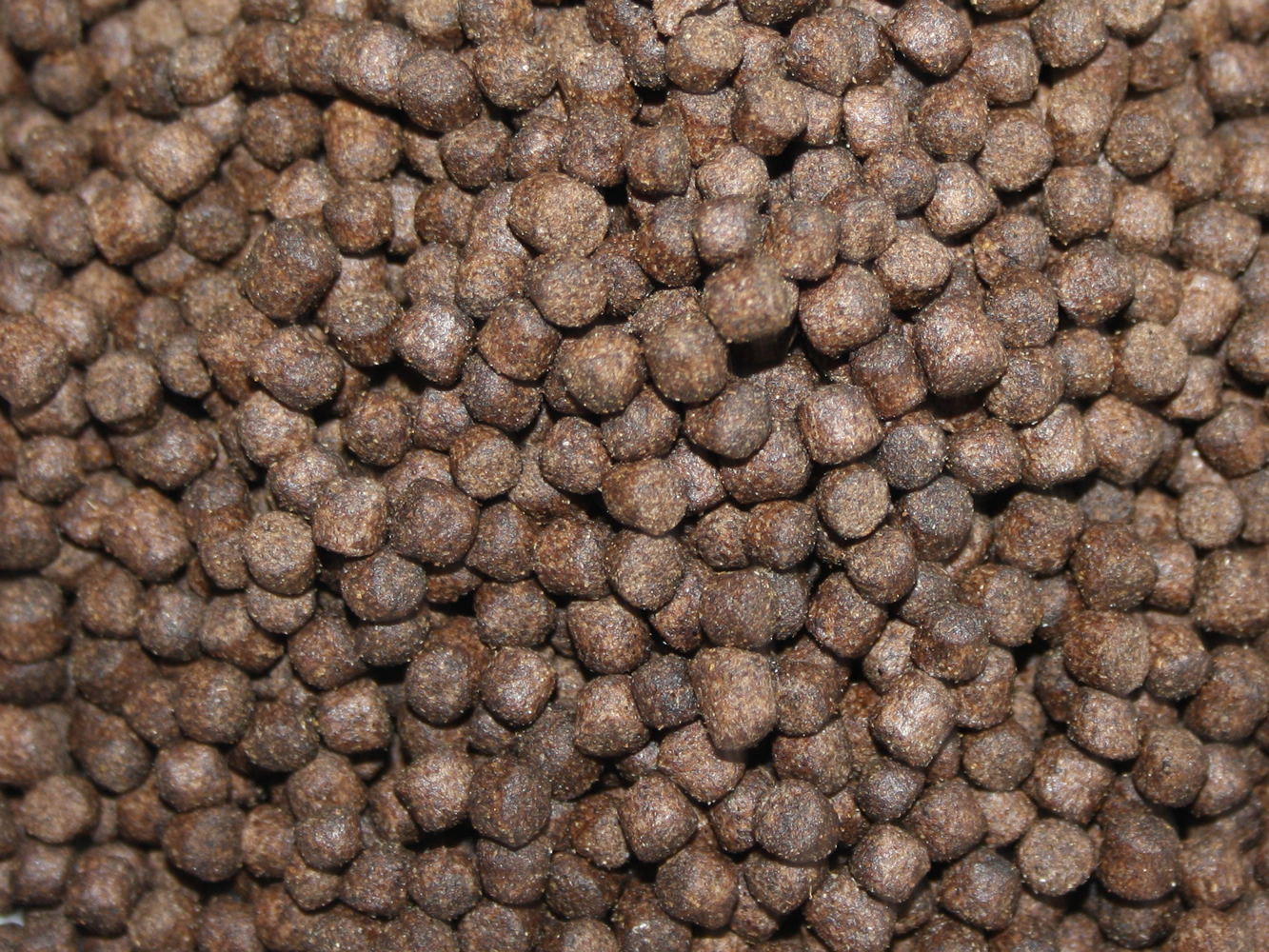 Koifutter Frühjahr,  Immunschutzfutter, Vitalfutter mit Monoglyceriden, Frühjahrsfutter Plus 5mm 5kg