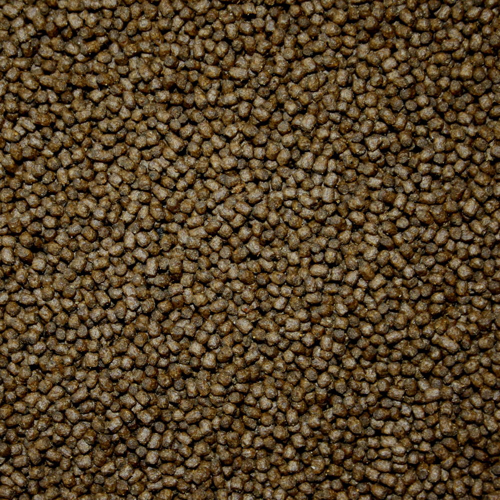 All Season Professional Ganzjahresfutter für Koi jeden Alters, 3mm Koipellets, 15kg