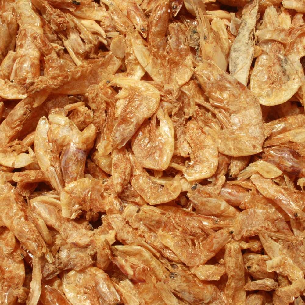 Riesengarnelen, Koisnack, Tomodachi Koi-Gambas - leckeres Sommerfutter für handzahme Koi 3kg