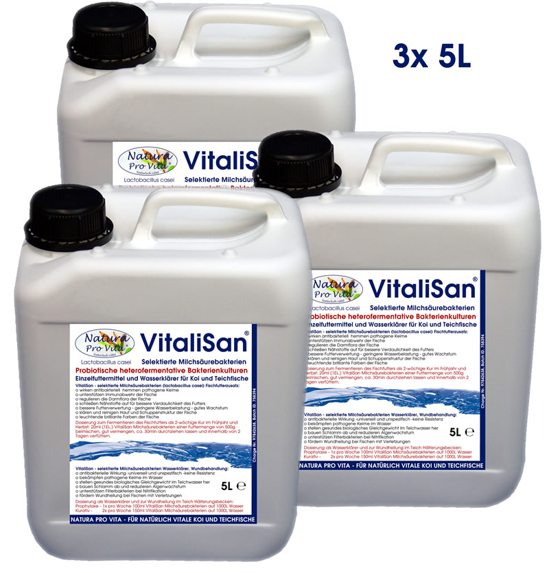 Koifutter Zusatz Milchsäurebakterien Futterverwertung Darmregulierung Hautklärer antibakteriell 15L