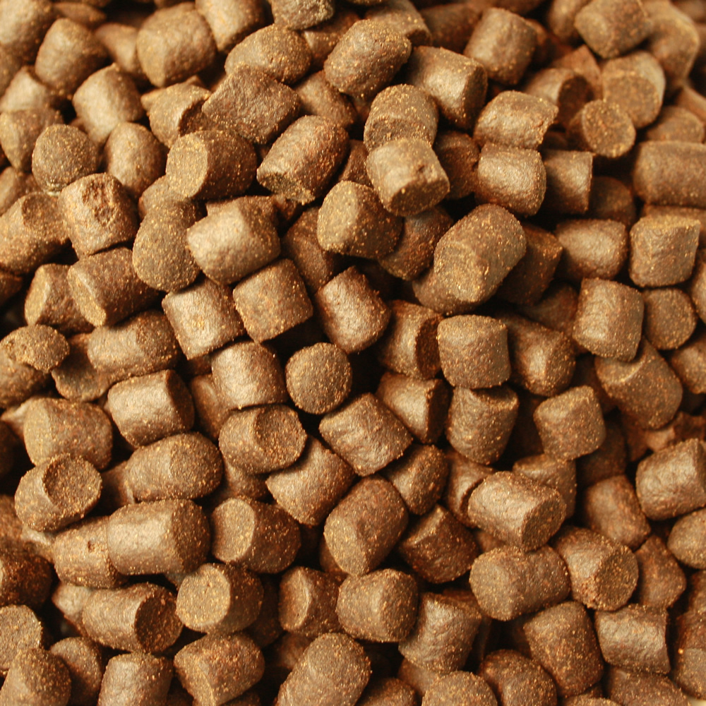 Gesundheitsfutter, Winterfutter Koi, Sinkfutter Monoglyceride, Tomodachi Deep Winter Vital 5mm 1kg