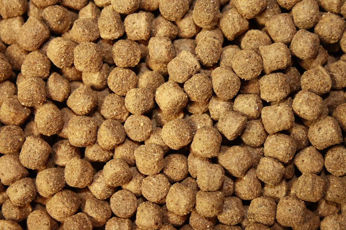 Antibakterielles Koifutter mit Monoglyceriden, Immunschutz,  Koigesundheit, AllSeason Vital 6mm 15kg