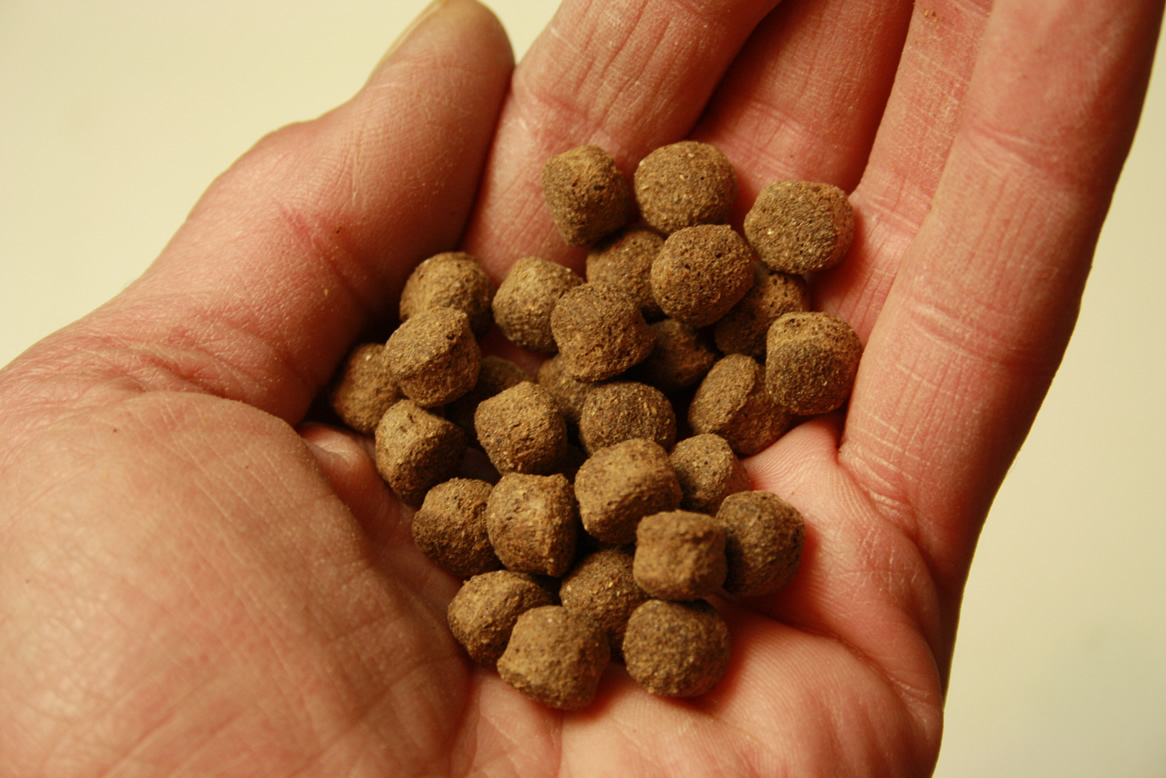 Ganzjahresfutter Koi, Schwimmfutter Tomodachi All Season Good Shape 8mm 2kg