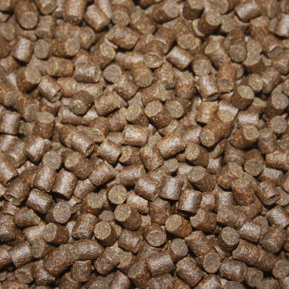 Störfutter, Energiefutter, Kraftfutter, Premium Sinkfutter Stör, Tomodachi Störsinkfutter  5mm 15kg