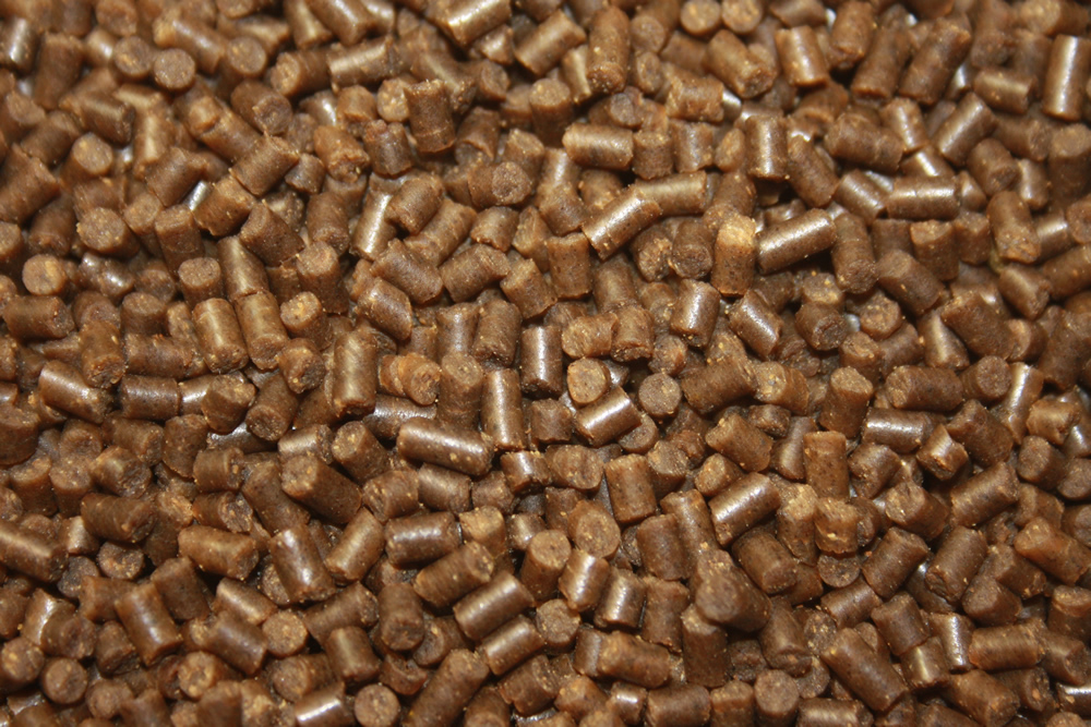 Winterfutter, Sinkfutter Koi, Jungkoifutter energiereich, schnellsinkend, WinterDiet Junior 3mm 10kg