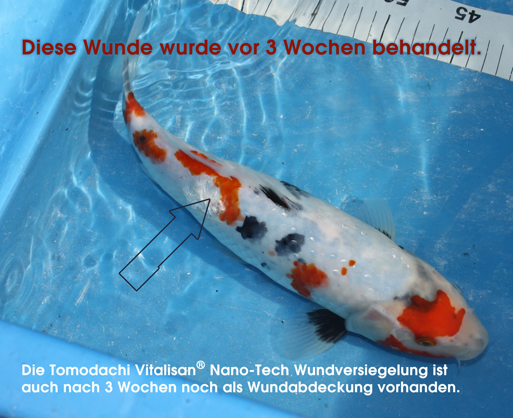 Wasserfeste, antibakterielle Wundversiegelung Koi, Nanotech Wound-Sealer, Tomodachi VitaliSan 100g D