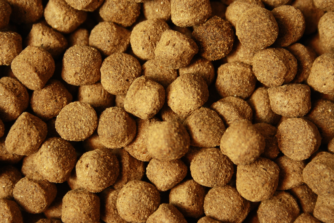 Antibakterielles Koifutter mit Monoglyceriden All Season Vital, Immunschutz, Koigesundheit  8mm 10kg