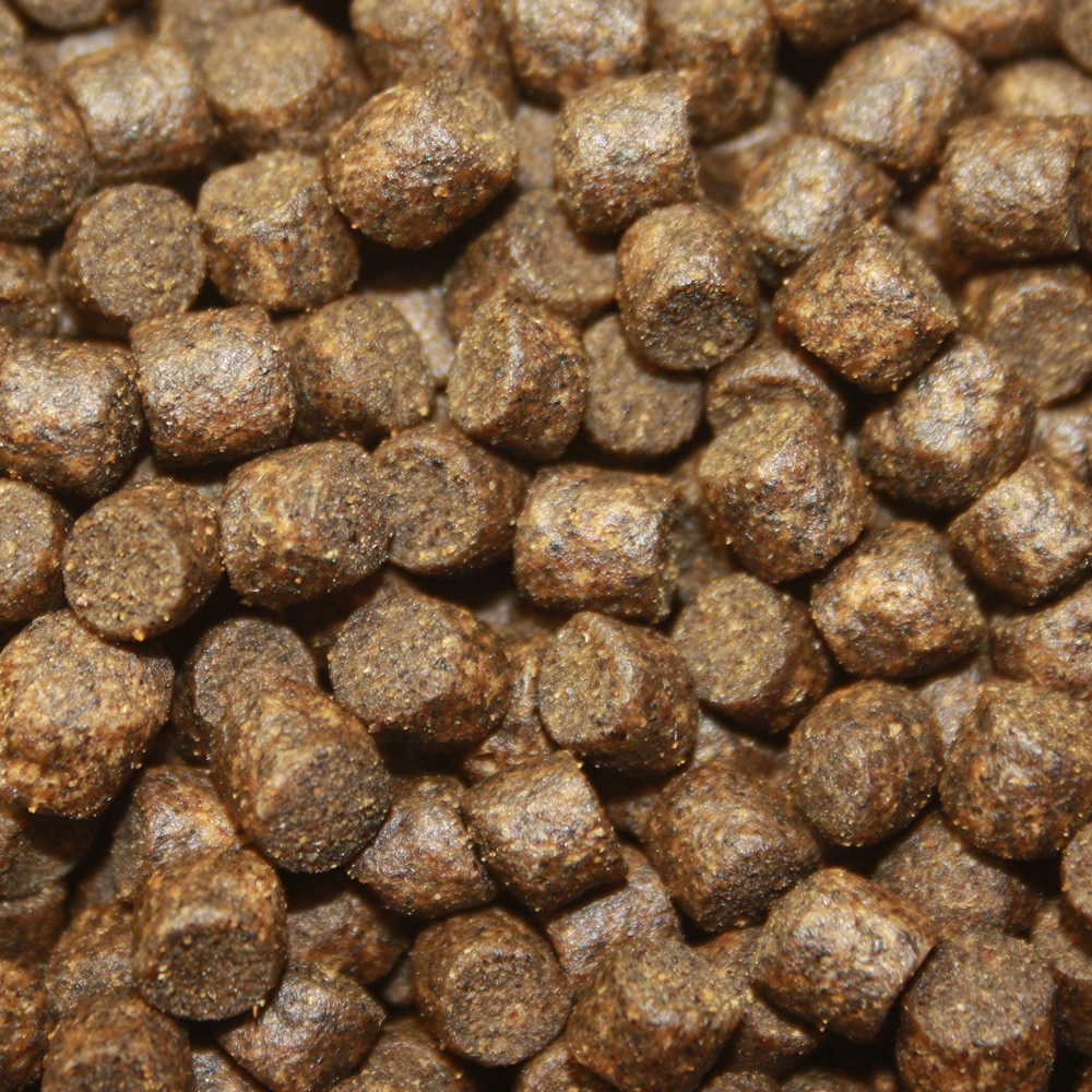 Betaglucan Koifutter für den Winter, Koigesundheit, Immunschutzfutter Koi,  Winterbalance 5mm 5kg