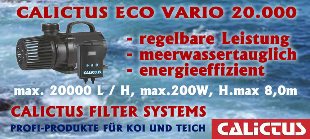 Teichpumpe, Filterpumpe, Bachlaufpumpe regelbar, energiesparend Calictus ECO 20000 Vario