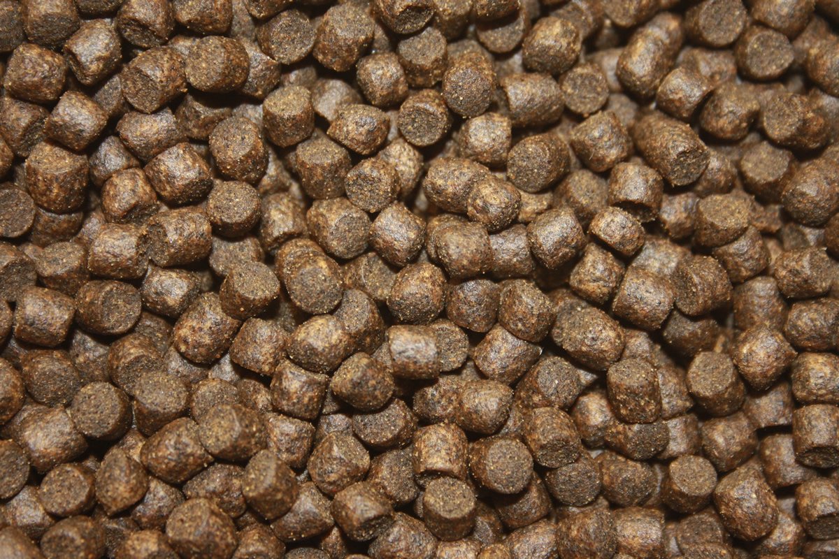 Herbstfutter Koi, sinkendes Gesundheitsfutter für Koi mit Vitalisan Monoglyceriden, Immunschutz 5kg