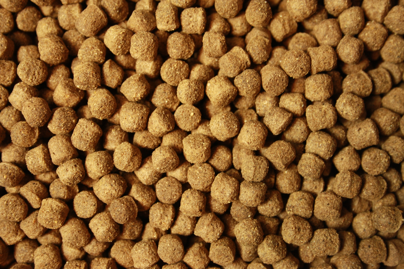 Jumbo Koifutter All Season Ganzjahres Koifutter Schwimmfutter für große Koi 8mm 5kg Eimer