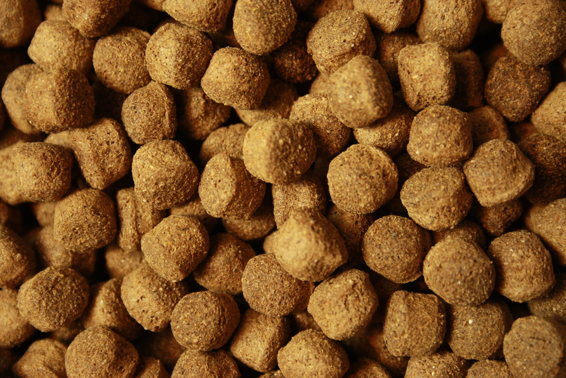 Antibakterielles Koifutter mit Monoglyceriden All Season Vital, Immunschutz, Koigesundheit  8mm 10kg