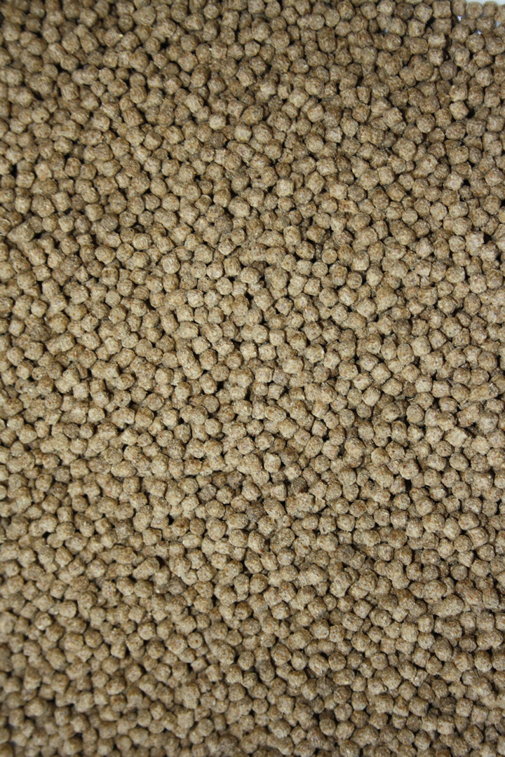 Koifutter Schwimmfutter Tomodachi All Season Koi Schwimmfutter Ganzjahres Koifutter 3mm 5kg Eimer