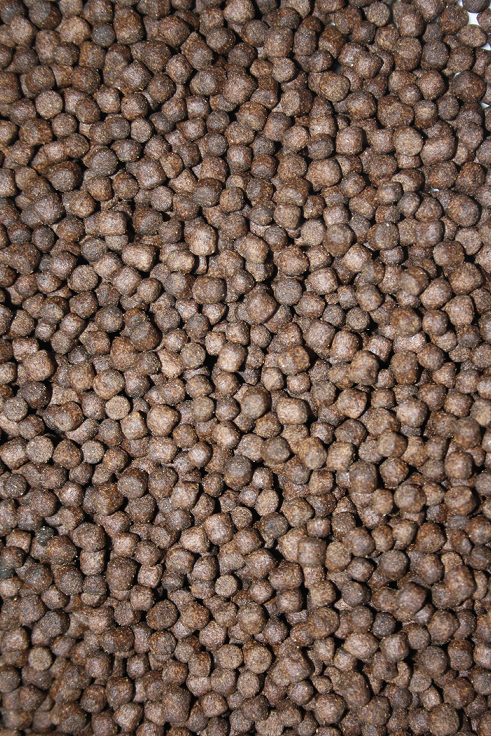 Winterfutter Koi, Sinkfutter energiereich, Winterfood Classic, langsamsinkend 5mm 5kg