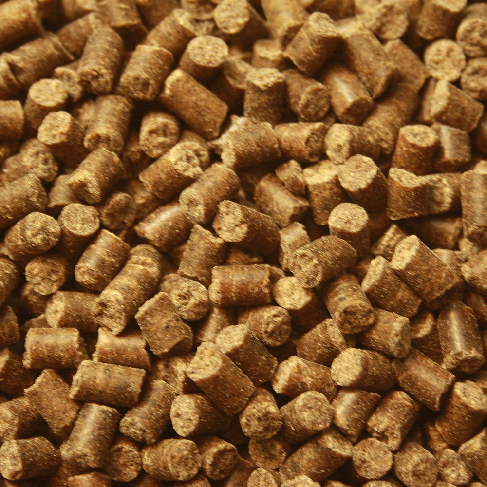 Koifutter, Winterfutter, Sinkfutter für Koi in Winterruhe, WinterDiet, Energie und Schonkost 5mm 5kg