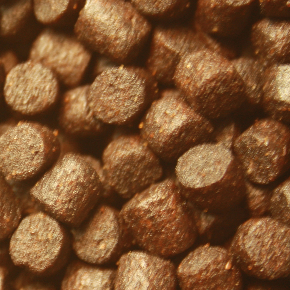 All Season Professional VITAL, Gesundheits Koifutter mit Monoglyceriden,  Immunschutzfutter 8mm 5kg