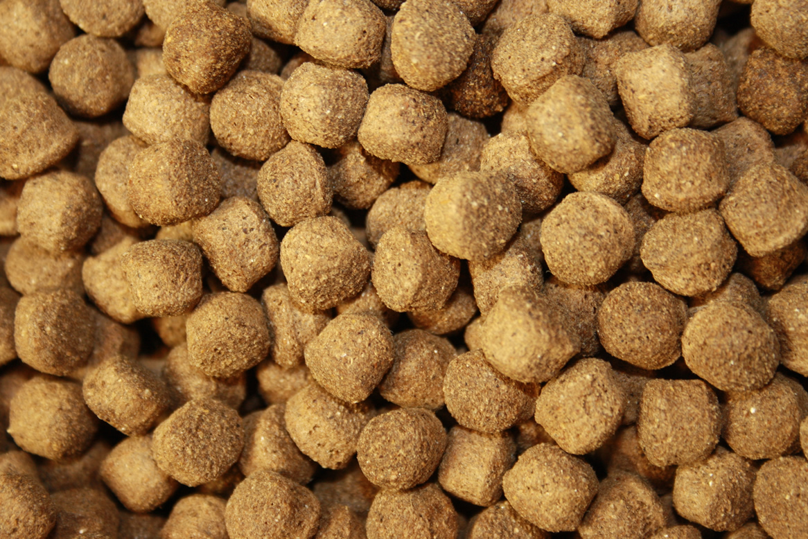 Antibakterielles Koifutter mit Monoglyceriden All Season Vital, Immunschutz, Koigesundheit  8mm 10kg