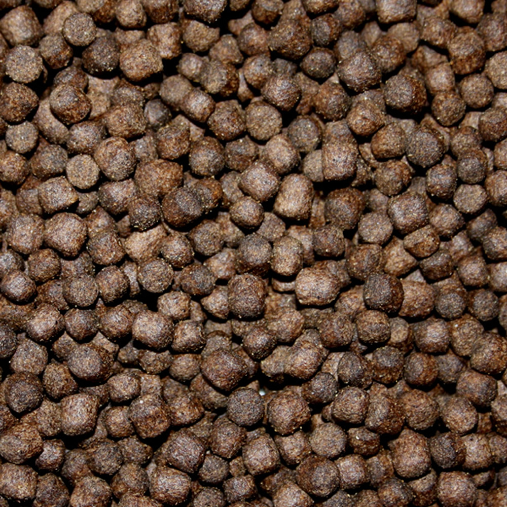 Koifutter Frühjahrsfutter Koi Sinkfutter energiereich mit arktischen Rohstoffen 5mm 5kg Eimer